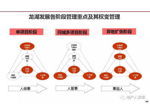 龍湖企業管理與運營精細化管理探析